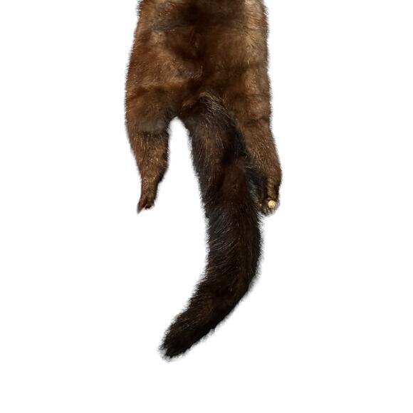 TANNED MINK PELT 29” Scarf Drape Stole Wrap Collar Natural Leather Taxidermy - Picture 12 of 16